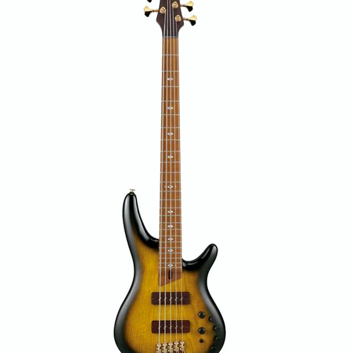 Test & Avis Basse électrique Ibanez SR4505-DST Prestige