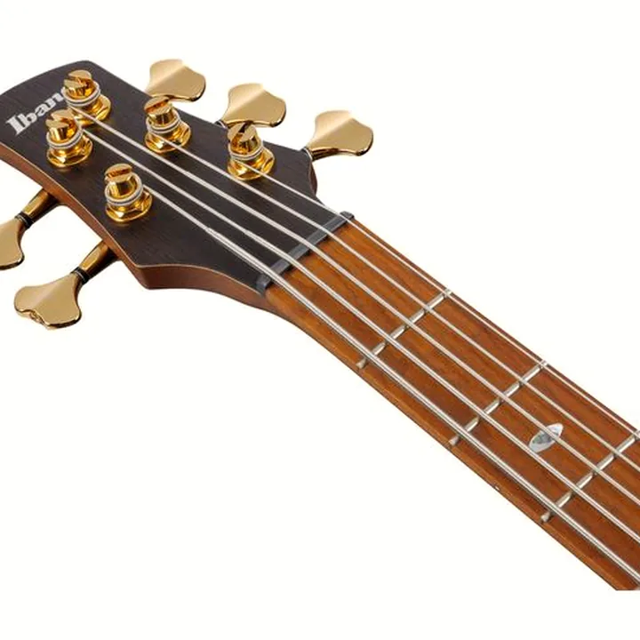 Test & Avis Basse électrique Ibanez SR4505-DST Prestige