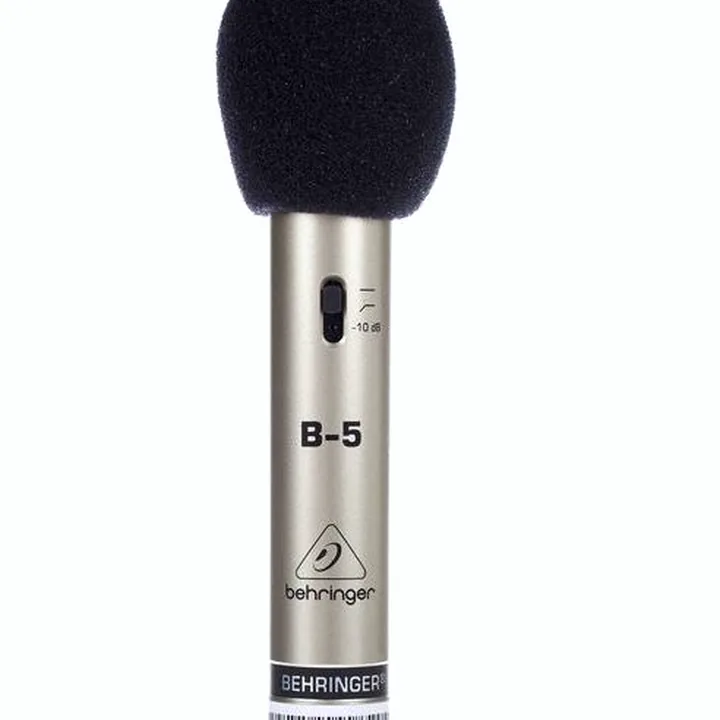 Test, Avis : Behringer B5