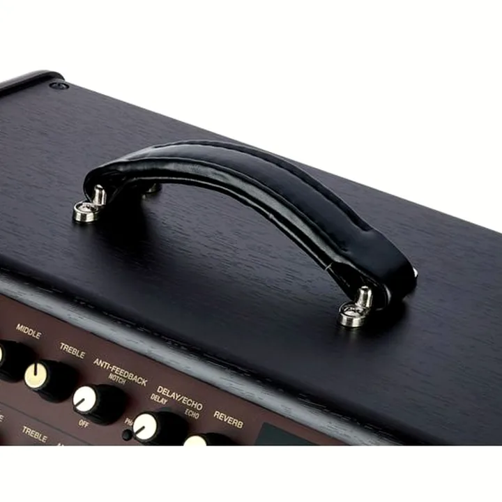 Test & Avis combo Boss ACS Acoustic Singer Pro