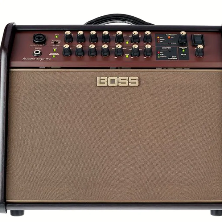 Test & Avis combo Boss ACS Acoustic Singer Pro