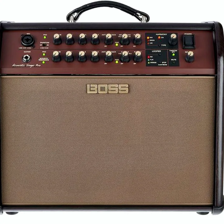 Test & Avis combo Boss ACS Acoustic Singer Pro