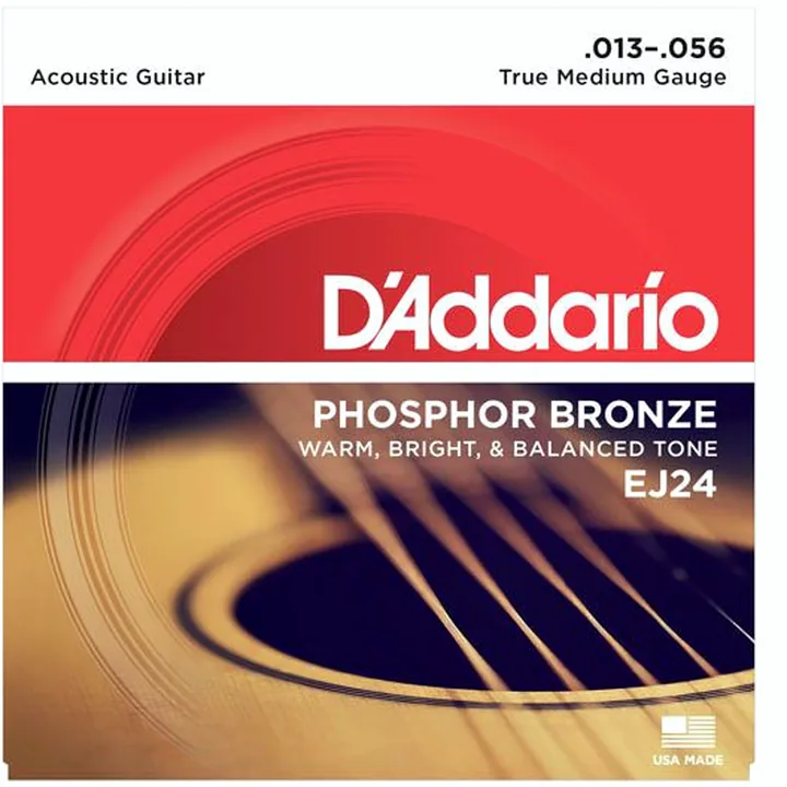 Daddario EJ24