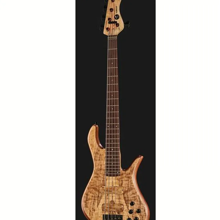 Test & Avis de la basse électrique Torillo Shevette 5 Double Cut Spalted