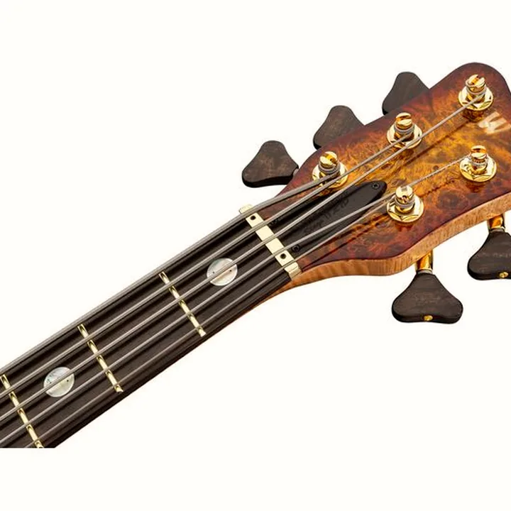 Test, Avis de la basse électrique Warwick Masterbuilt Streamer II LTD 5