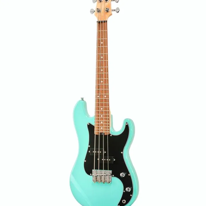 Test, Avis de la basse Flight Mini Bass Lite SFG