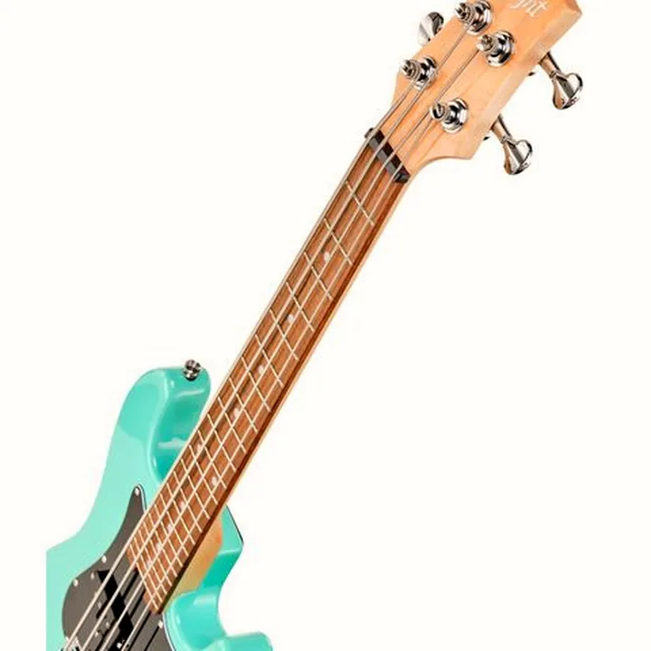 Test, Avis de la basse Flight Mini Bass Lite SFG