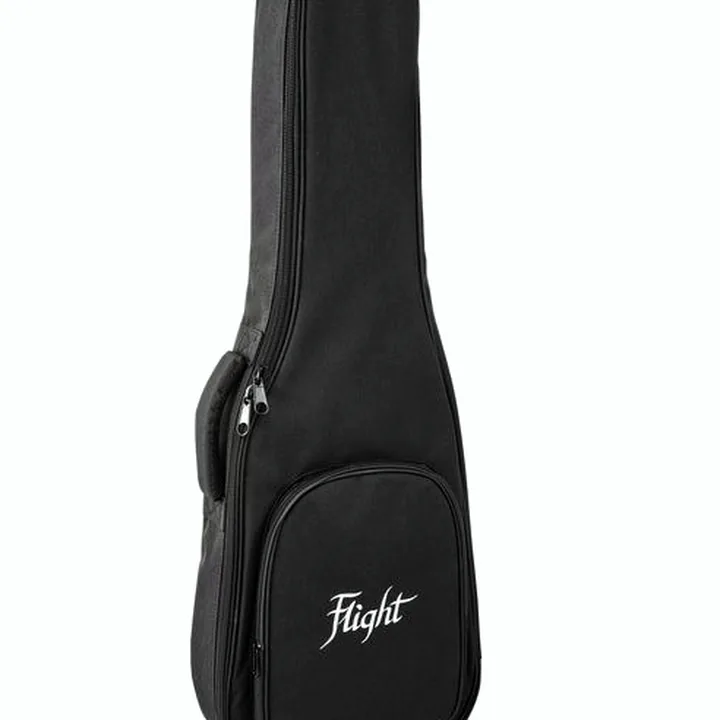 Test, Avis de la basse Flight Mini Bass Lite SFG