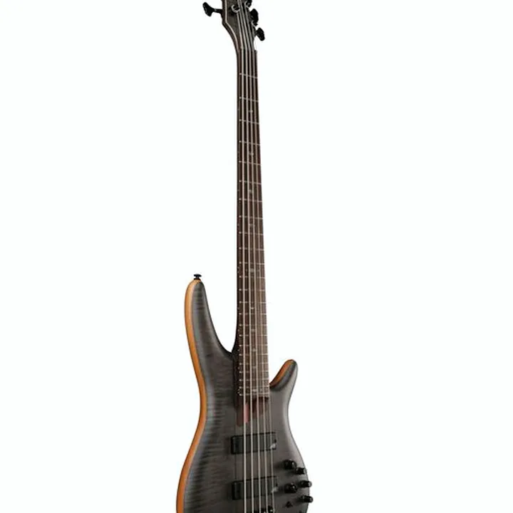 Test & Avis de la basse Ibanez SR1455DW-TGF