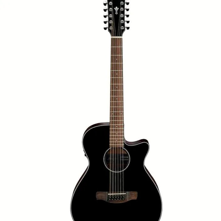 Guitare Acoustique Ibanez AEG5012-BKH