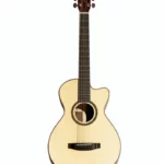 Test & Avis de la guitare Acoustique Lakewood C-31 CP