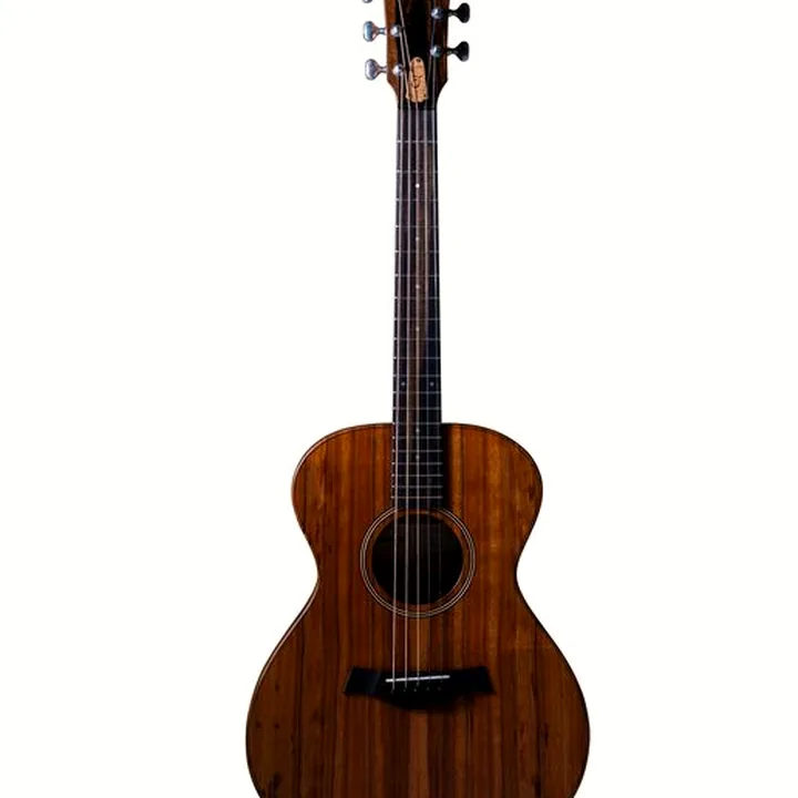 Guitare acoustique Taylor Jacob Collier Sign. JCSM-5