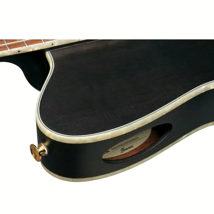 Test & Avis de la guitare classique Ibanez Signature Tim Henson TOD10N
