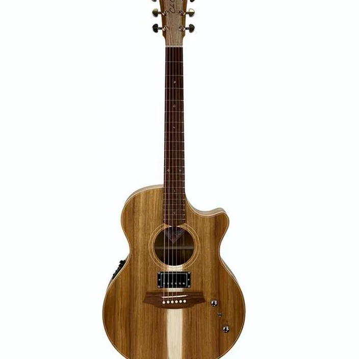 Guitare Cole Clark TL2EC-BLBL-HUM