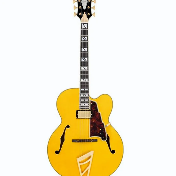 Test & Avis de la guitare DAngelico Excel EXL1 Amber