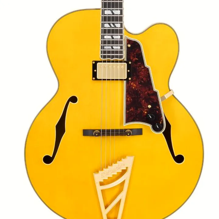 Test & Avis de la guitare DAngelico Excel EXL1 Amber