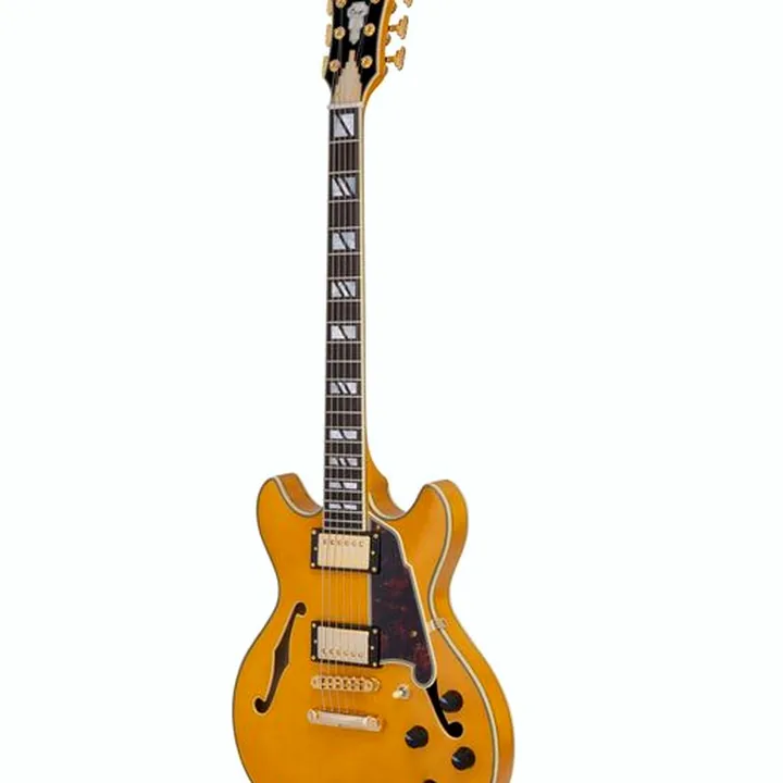 Test, Avis de la guitare électrique DAngelico Excel Mini DC Amber