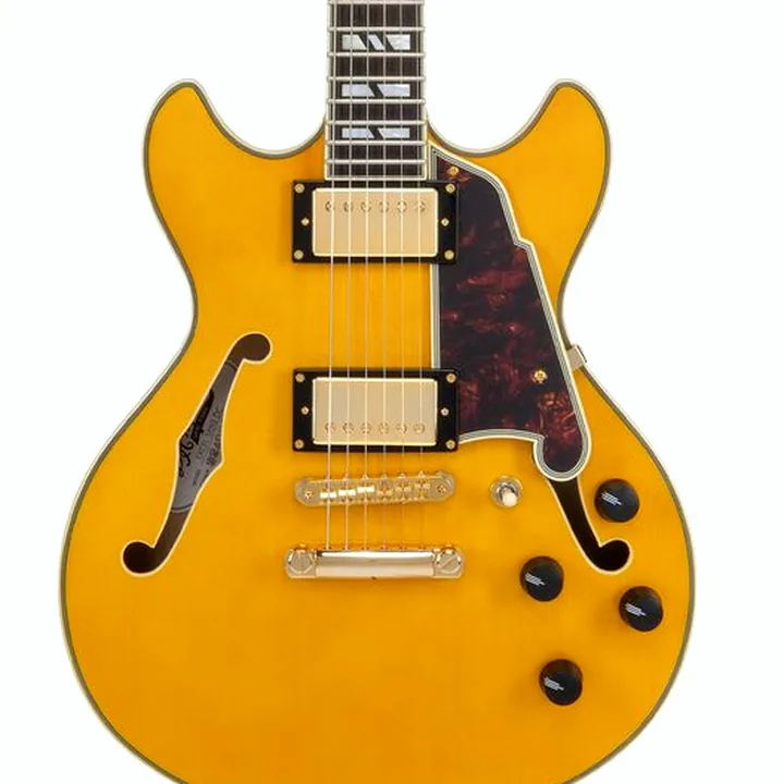 Test, Avis de la guitare électrique DAngelico Excel Mini DC Amber