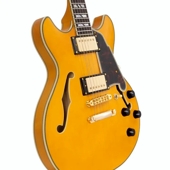 Test, Avis de la guitare électrique DAngelico Excel Mini DC Amber