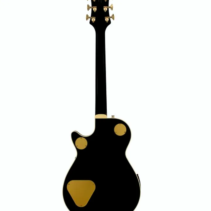 Test & Avis de la guitare électrique Gretsch G6134TG LTD Paisley Penguin GD