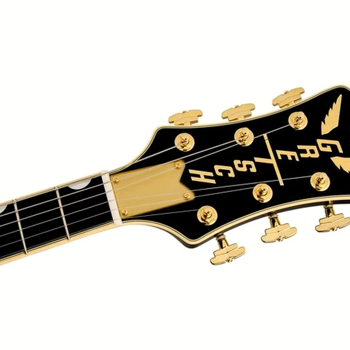 Test & Avis de la guitare électrique Gretsch G6134TG LTD Paisley Penguin GD