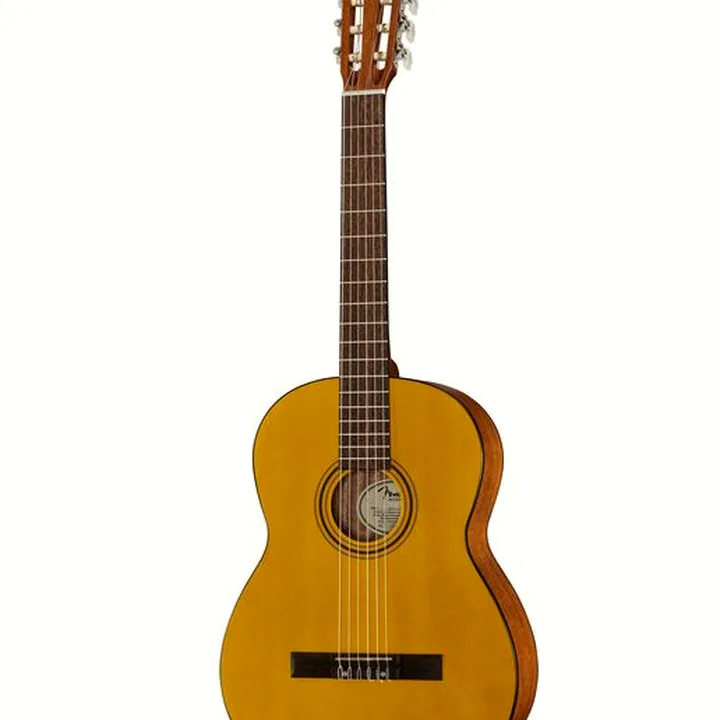 Test & Avis de la guitare Fender ESC110 Educational 4/4 WN