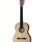 Test, Avis de la guitare Hanika Natural-PF