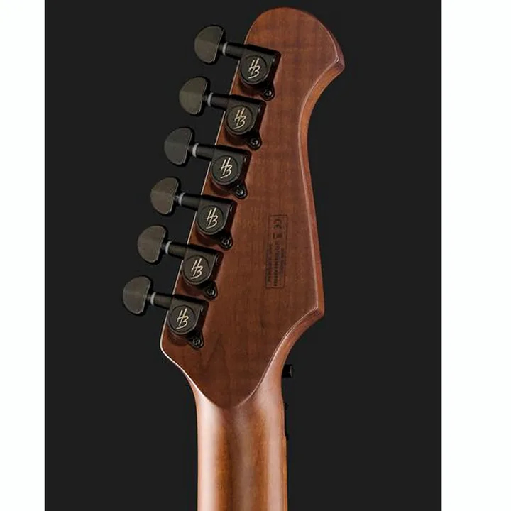 Test, Avis de la guitare Harley Benton Guitar MAX Fusion Signature HO