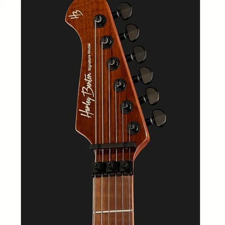 Test, Avis de la guitare Harley Benton Guitar MAX Fusion Signature HO