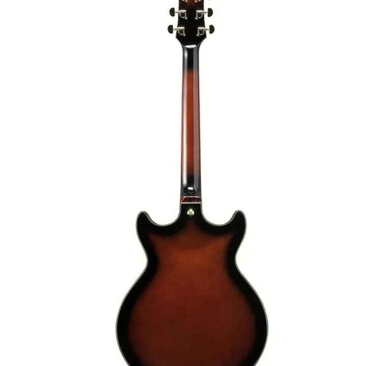 Test & Avis de la guitare Ibanez AMH100FM-DVS