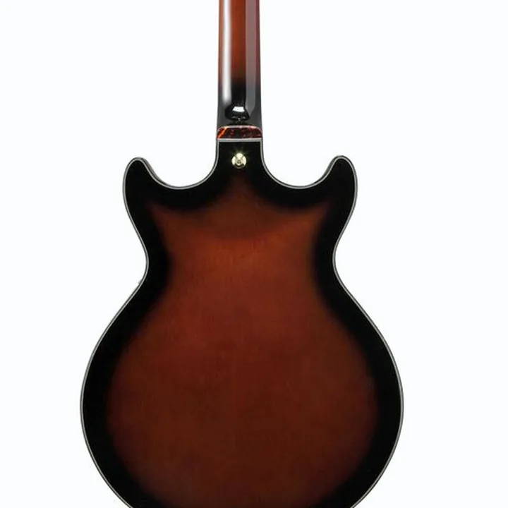 Test & Avis de la guitare Ibanez AMH100FM-DVS