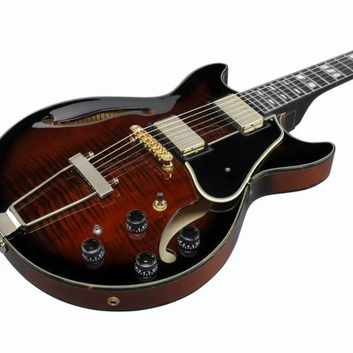 Test & Avis de la guitare Ibanez AMH100FM-DVS