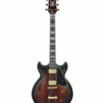 Test & Avis de la guitare Ibanez AMH100FM-DVS