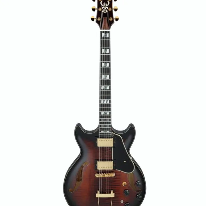Test & Avis de la guitare Ibanez AMH100FM-DVS