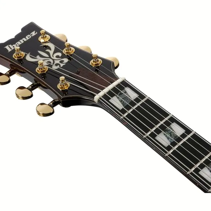 Test & Avis de la guitare Ibanez AMH100FM-DVS
