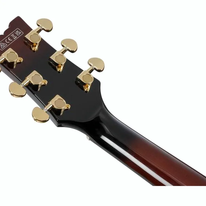 Test & Avis de la guitare Ibanez AMH100FM-DVS