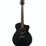 Test & Avis de la guitare Ibanez JGM5-BSN
