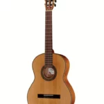 Test, Avis de la guitare La Mancha Rubi CM Fishbone Edition