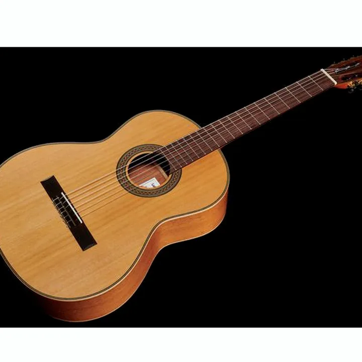 Test, Avis de la guitare La Mancha Rubi CM Fishbone Edition