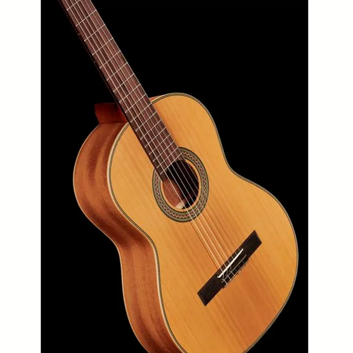 Test, Avis de la guitare La Mancha Rubi CM Fishbone Edition