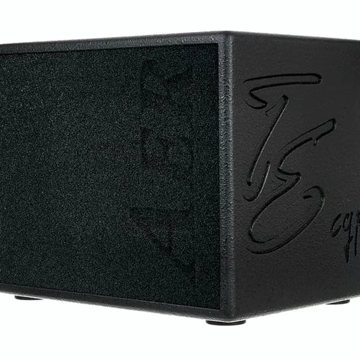 Test & Avis du combo guitare AER Compact 60 Tommy Emmanuel