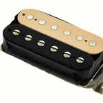 Test & Avis du Micro Gibson 57 Classic Plus Zebra