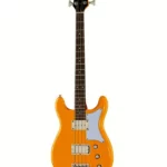Test, Avis : Epiphone Newport Bass California Coral