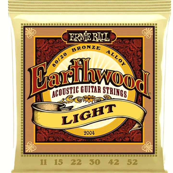 Ernie Ball 2004 Earthwood Bronze