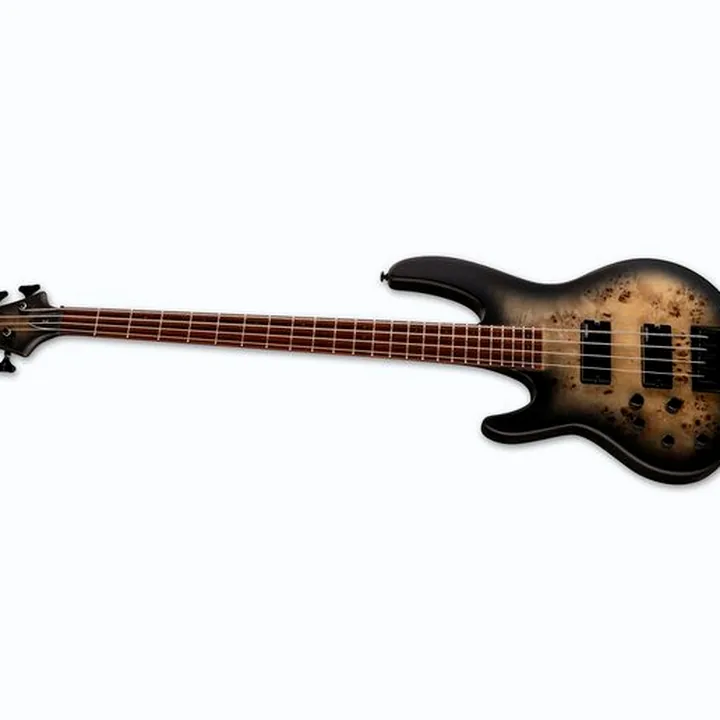 Test & Avis ESP LTD D-4 LH BNBS