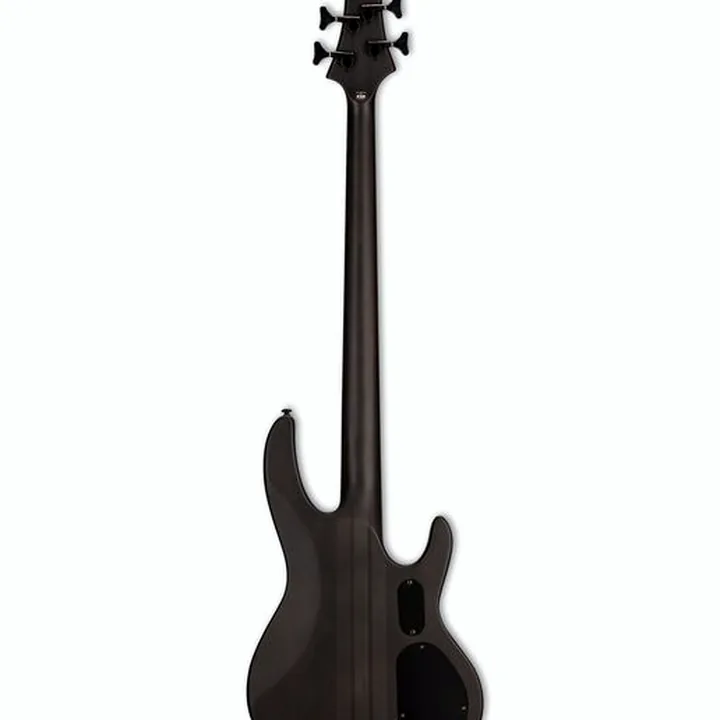 Test & Avis ESP LTD D-4 LH BNBS