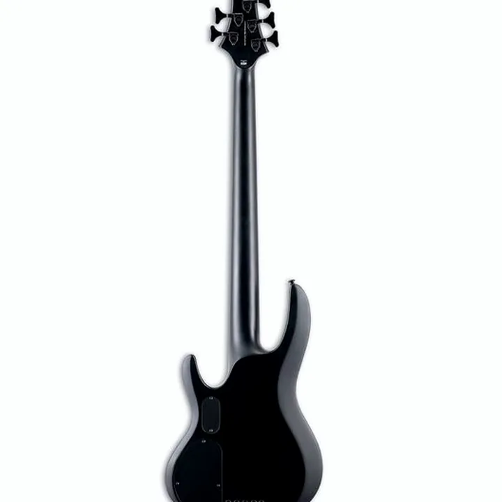 Test & Avis : ESP LTD F-5E BP