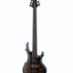 Test & Avis : ESP LTD F-5E BP