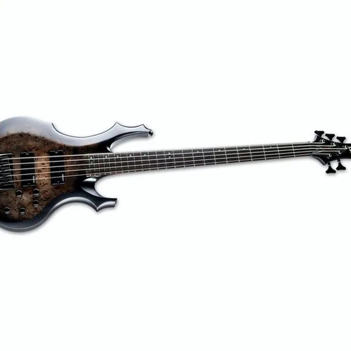 Test & Avis : ESP LTD F-5E BP
