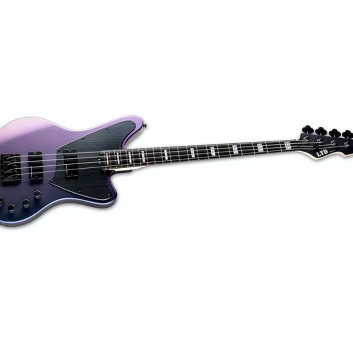 Test, Avis : ESP LTD GB-4